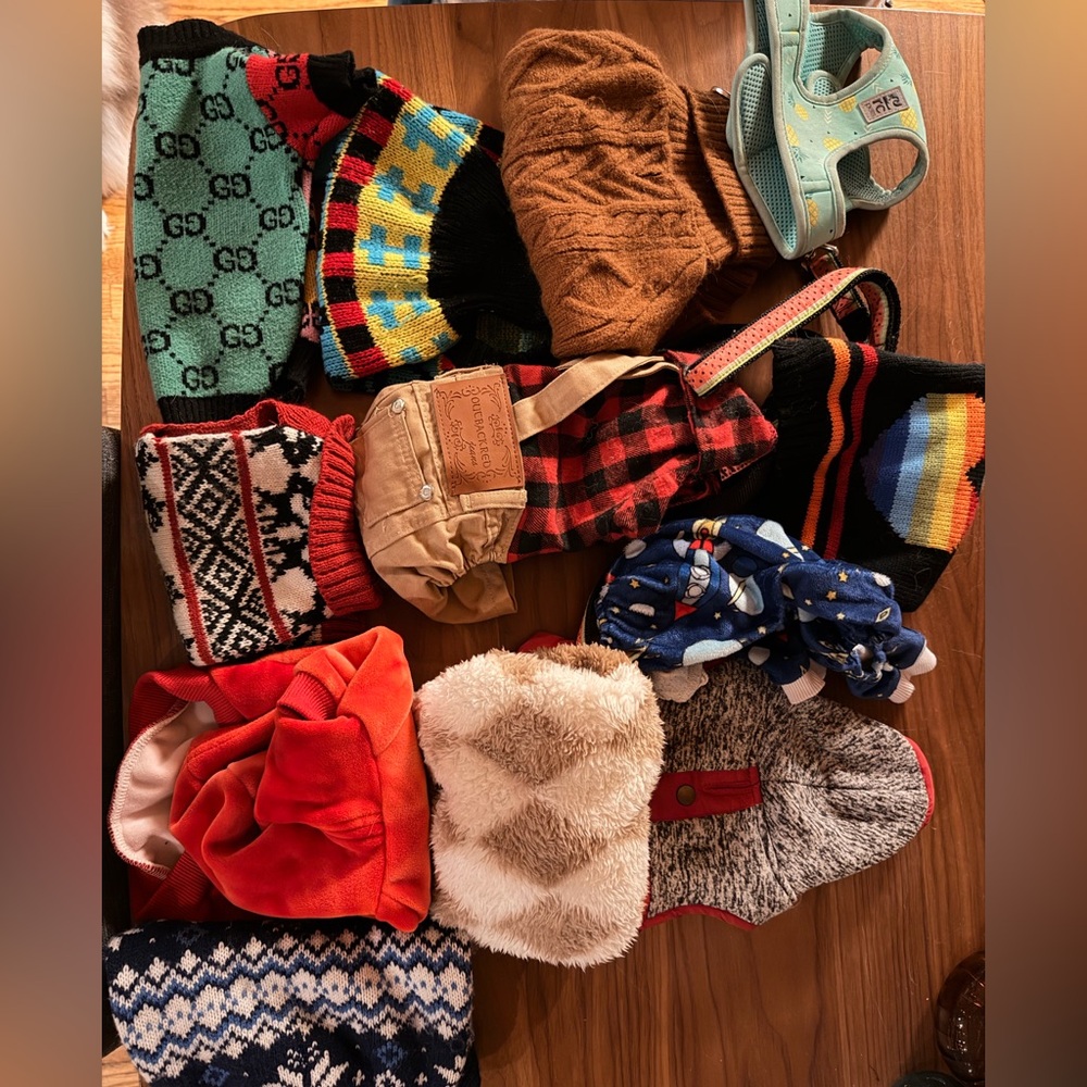 Small Dog Sweater Lot Plus Harness and Leash